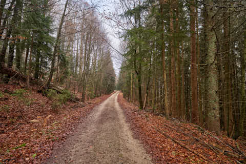 Gemeinde Sankt_Oswald-Riedlhütte Landkreis Freyung-Grafenau Großer Rachel Wanderweg (Dirschl Johann) Deutschland FRG